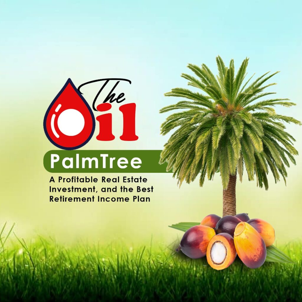 The Oil Palm Tree