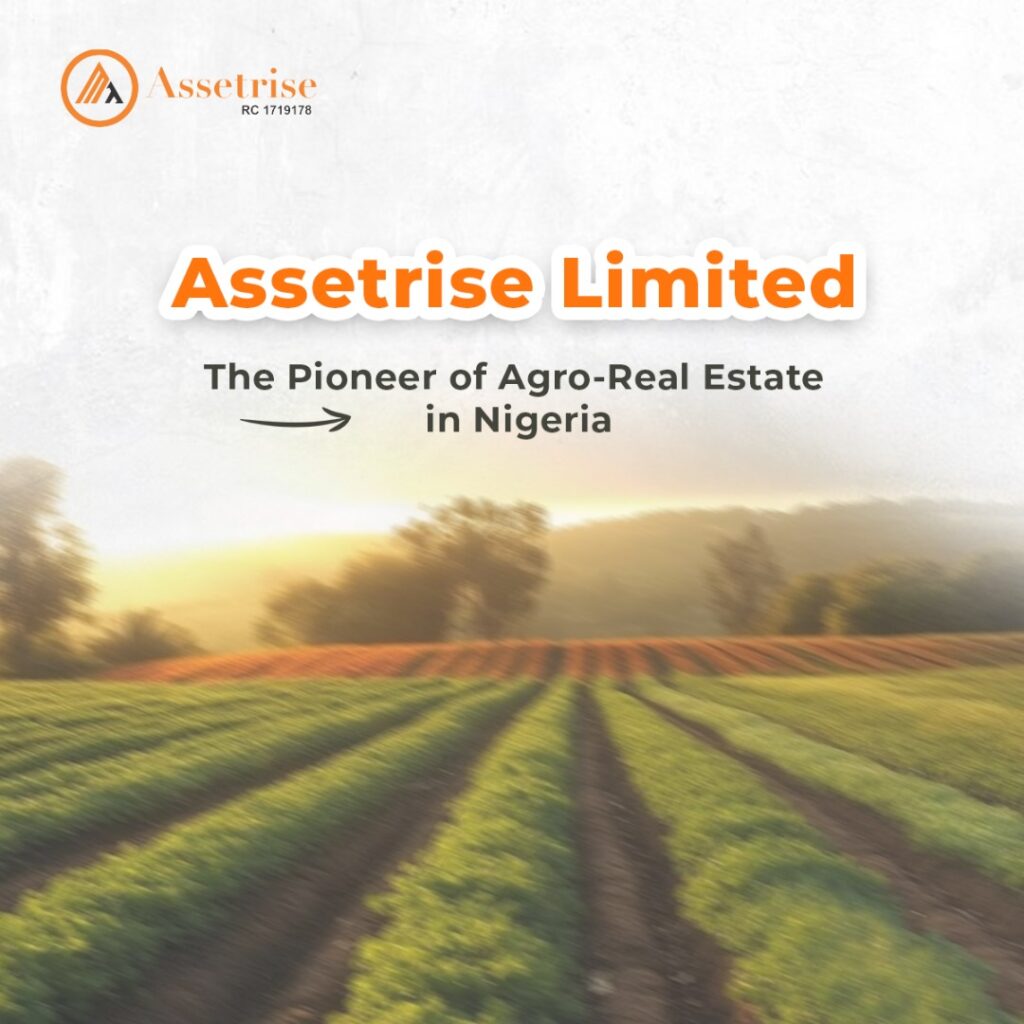 Assetrise - Pioneer of Agro real Estate in Nigeria
