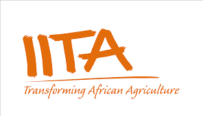 IITA logo