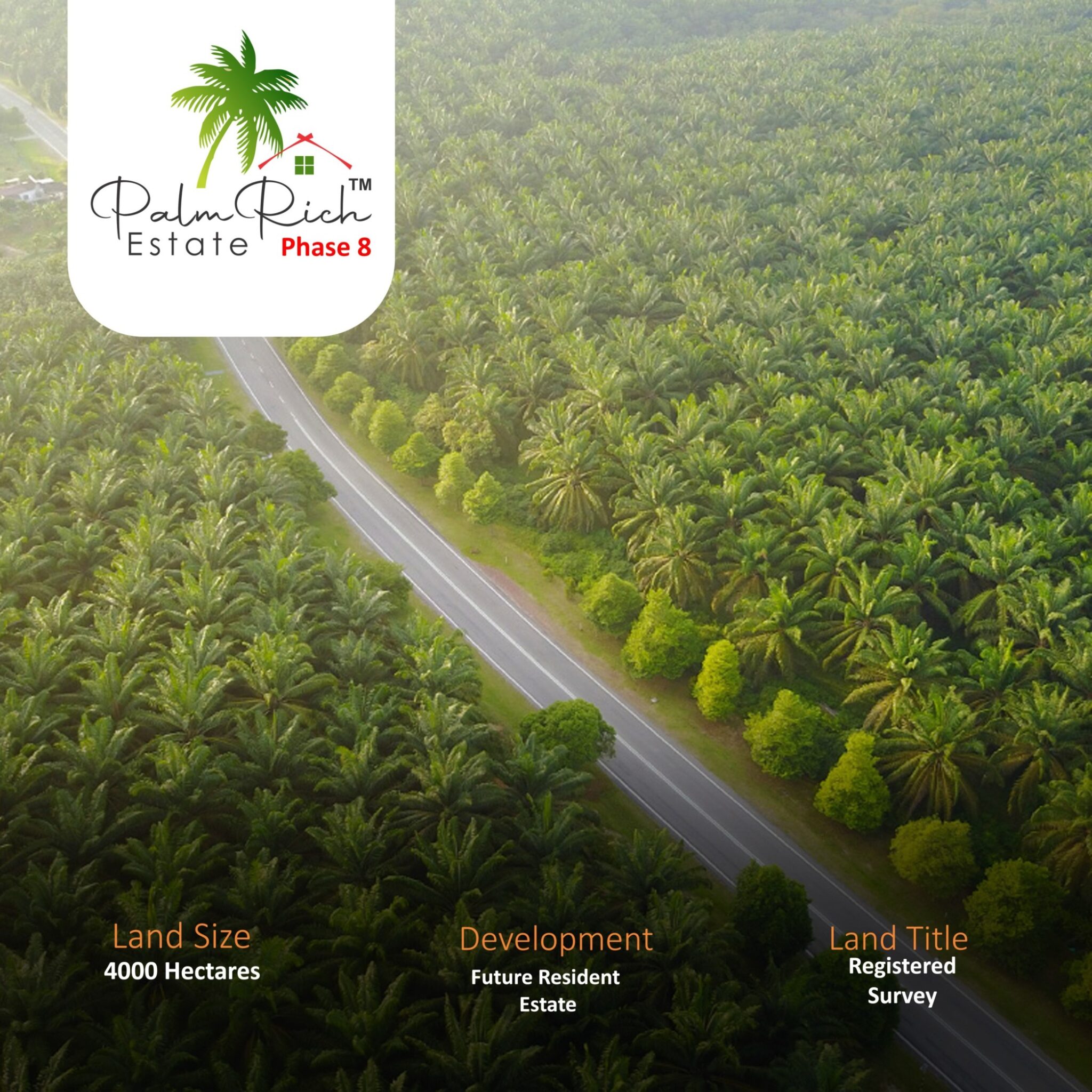 Assetrise Web image Palmrich Phase 8 (1) (1)