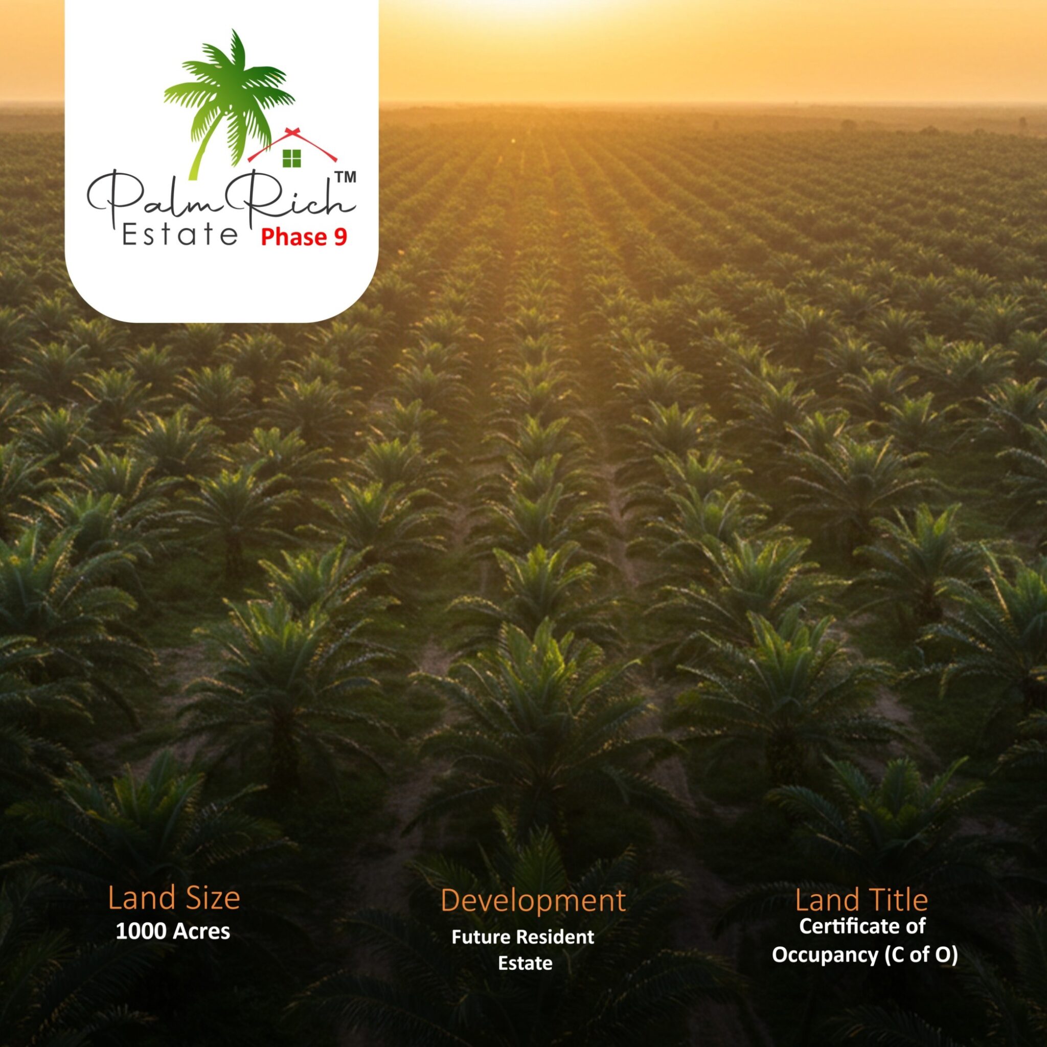 Assetrise Web image Palmrich Phase 9 (1) (1)