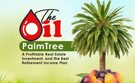 The Oil Palm Tree